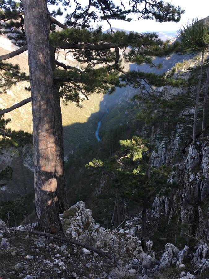 Žabljak Monte Zenヴィラ エクステリア 写真